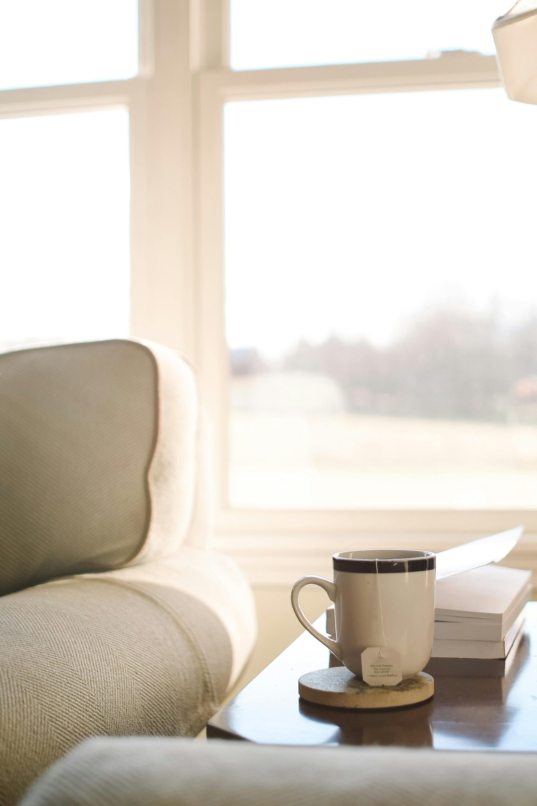 pexels jhelmuth 15177069 scaled