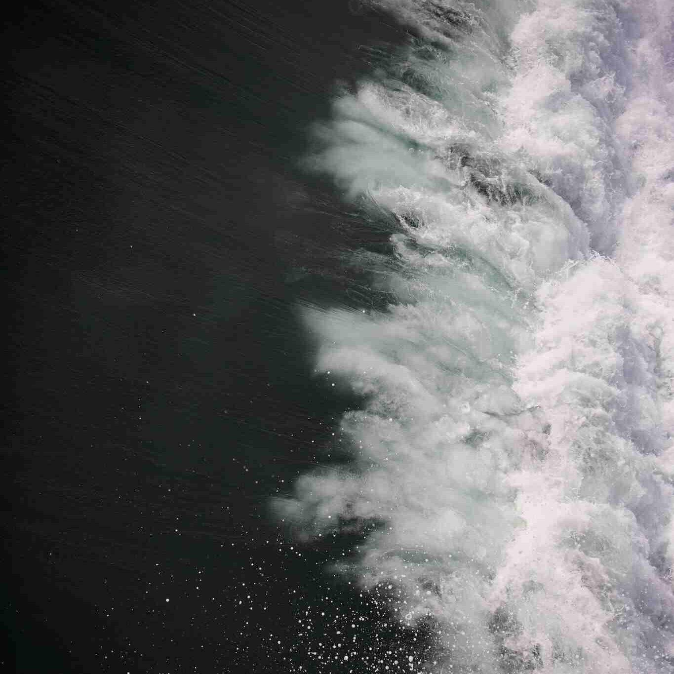 placeholder pexels 1876790 e1746872908727